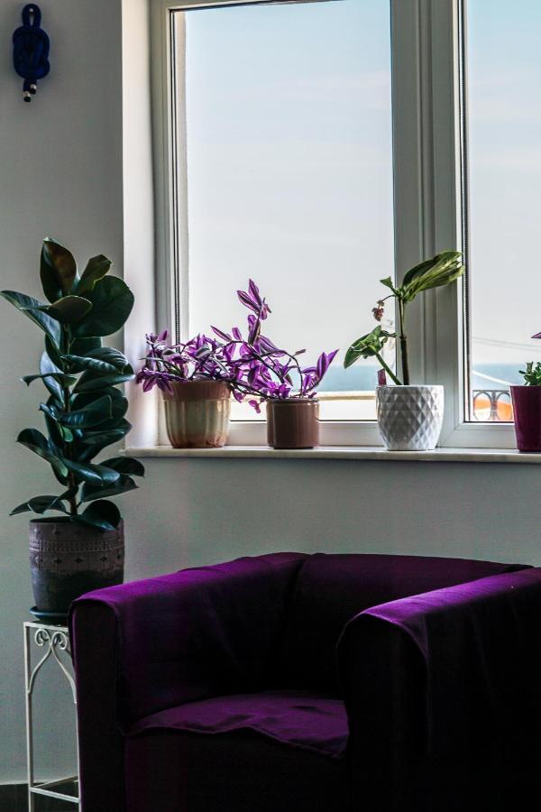 Vila Gladiola إيفوري نورد المظهر الخارجي الصورة